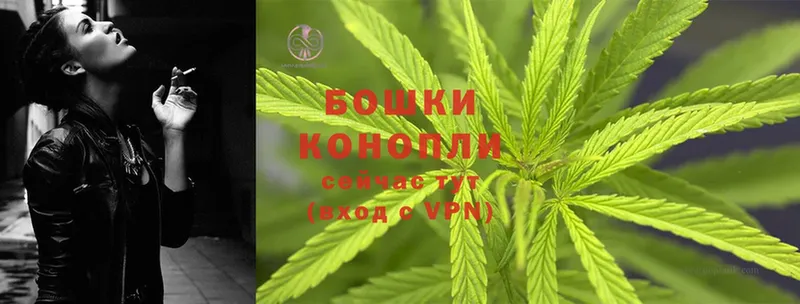 Шишки марихуана Ganja  Верхотурье 